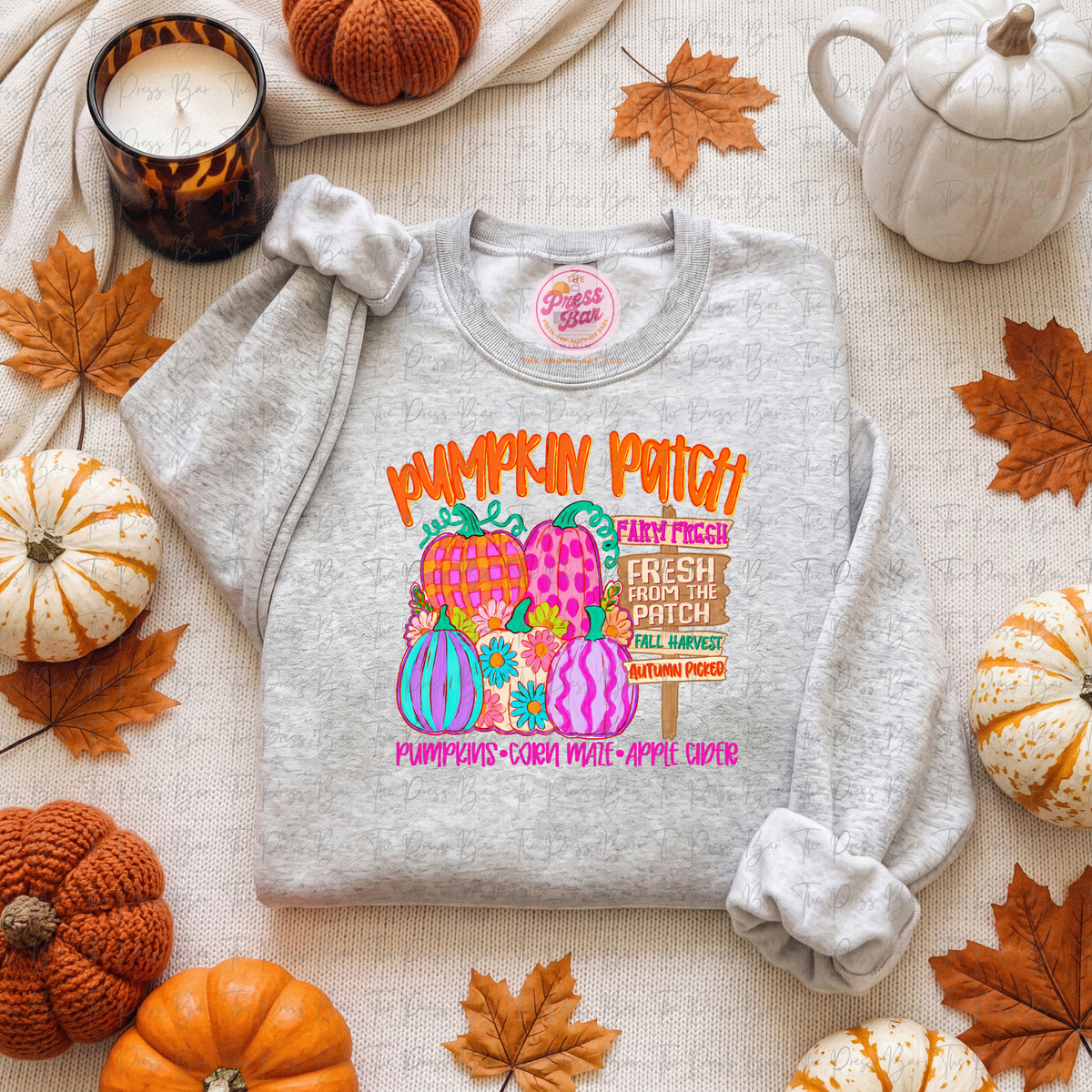 Pumpkin Patch Cutie